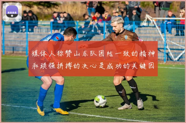 媒体人称赞山东队团结一致的精神和顽强拼搏的决心是成功的关键因素