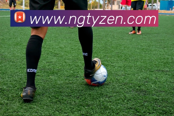 NG体育平台生态图